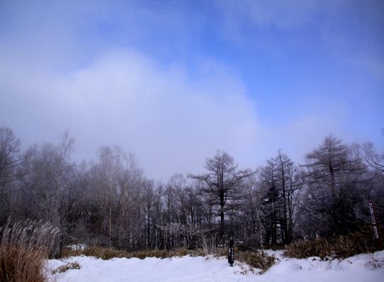 20121223tuetate-020.jpg