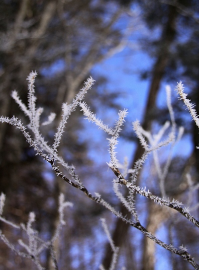 20121223tuetate-021.jpg
