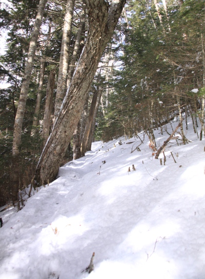 20121223tuetate-022.jpg