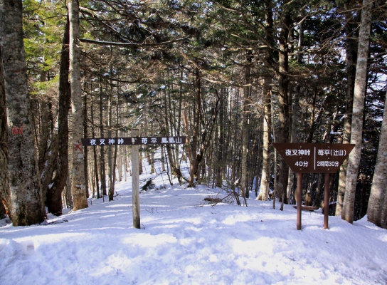 20121223tuetate-023.jpg