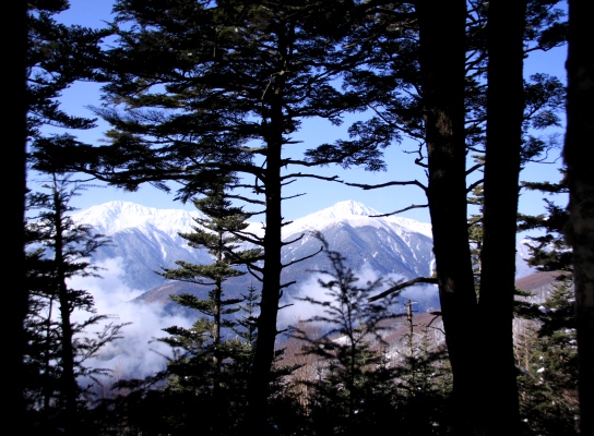 20121223tuetate-024.jpg