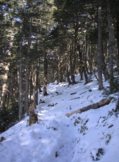 20121223tuetate-027.jpg