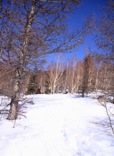 20121223tuetate-028.jpg