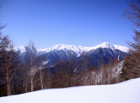 20121223tuetate-030.jpg