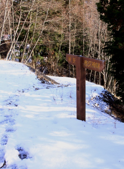 20121223tuetate-039.jpg