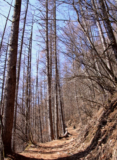 20130413hoosanzan-002.jpg