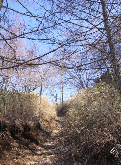 20130413hoosanzan-003.jpg