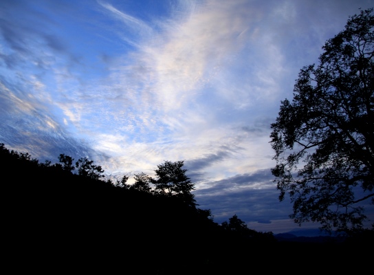 20130721shiroumahigaeri-002.jpg