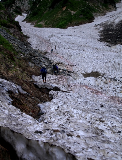 20130721shiroumahigaeri-007.jpg