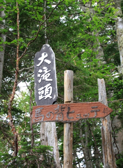 20130727senjyo-007.jpg