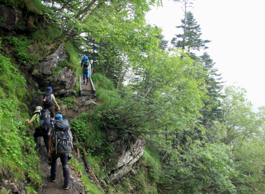 20130727senjyo-009.jpg