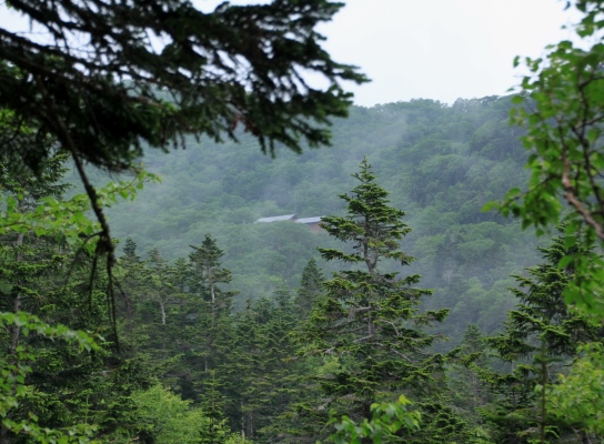 20130727senjyo-010.jpg