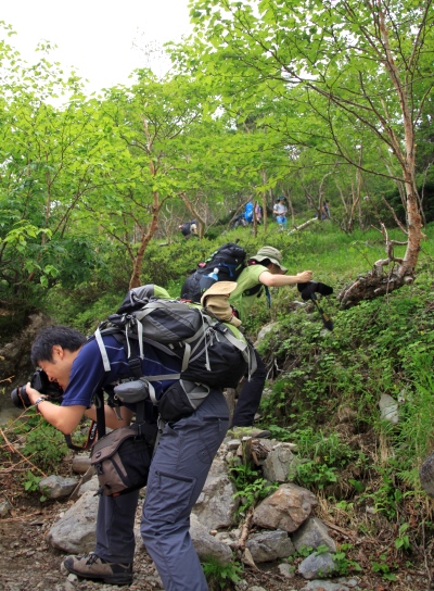 20130727senjyo-013.jpg