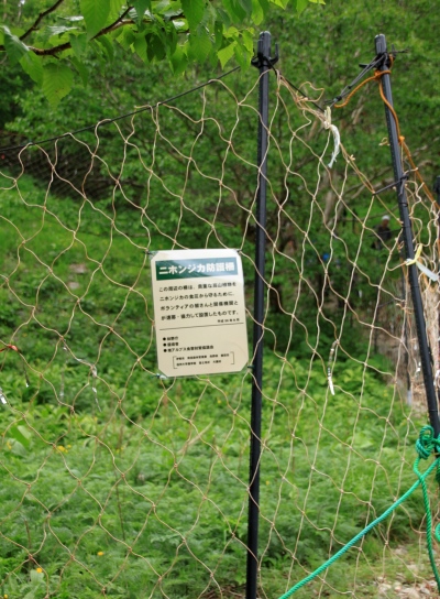 20130727senjyo-015.jpg