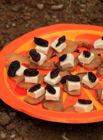 20130727senjyo-021.jpg