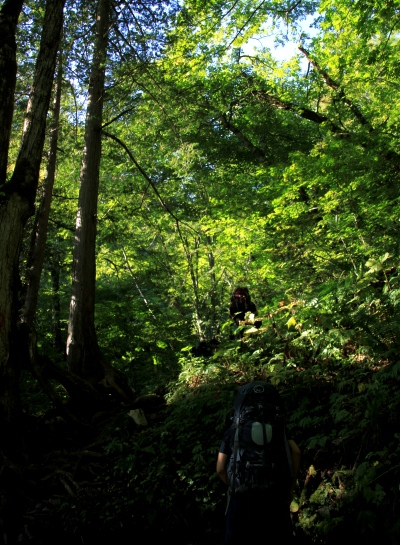 20130921chogatake-006.jpg