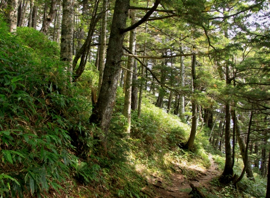 20130922chogatake-026.jpg