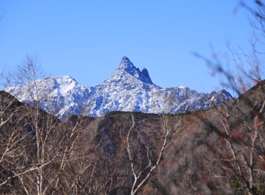 20131101tubakuro-217.jpg