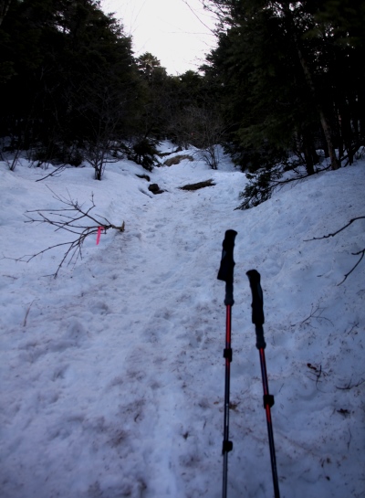 20140329tateshinayama-006.jpg