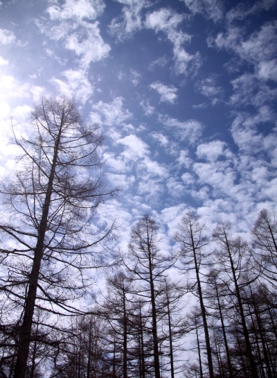 20140329tateshinayama-033.jpg