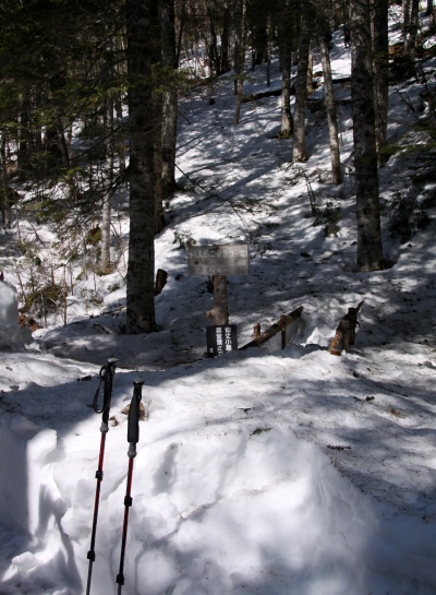 20140426senjyo-006.jpg