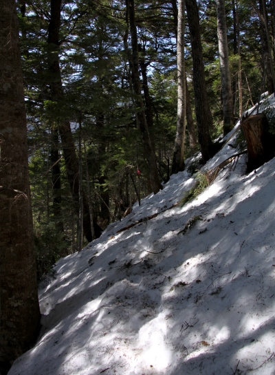 20140426senjyo-007.jpg