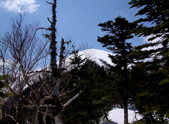 20140426senjyo-011.jpg