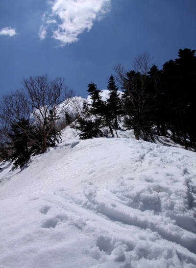 20140426senjyo-013.jpg