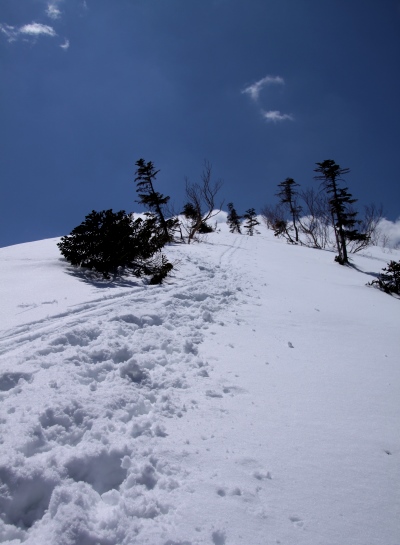 20140426senjyo-014.jpg