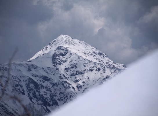 20140426senjyo-015.jpg