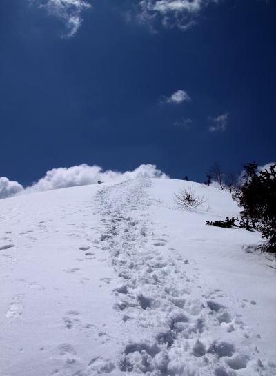 20140426senjyo-016.jpg