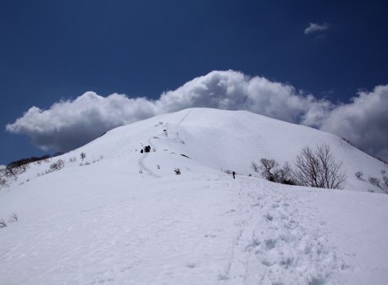 20140426senjyo-017.jpg
