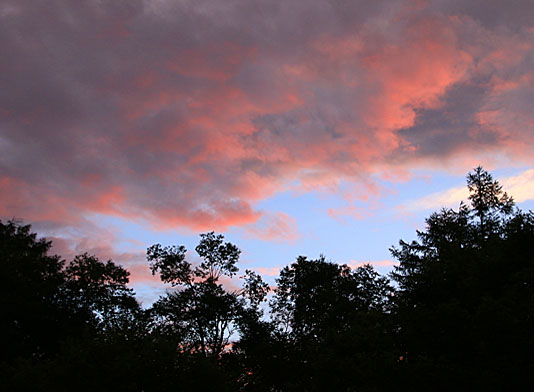 20140803hououhigaeri-003.jpg