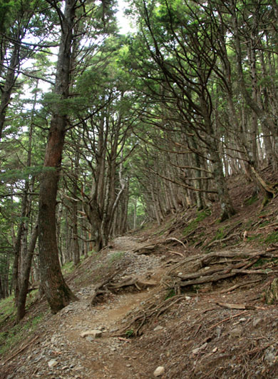 20140803hououhigaeri-007.jpg