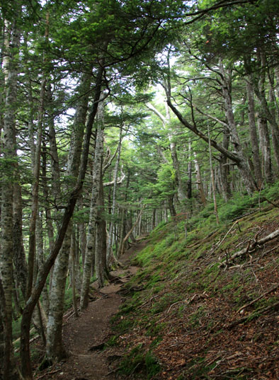 20140803hououhigaeri-009.jpg