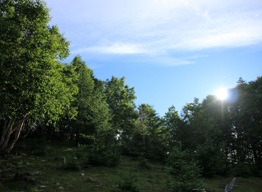 20140803hououhigaeri-012.jpg