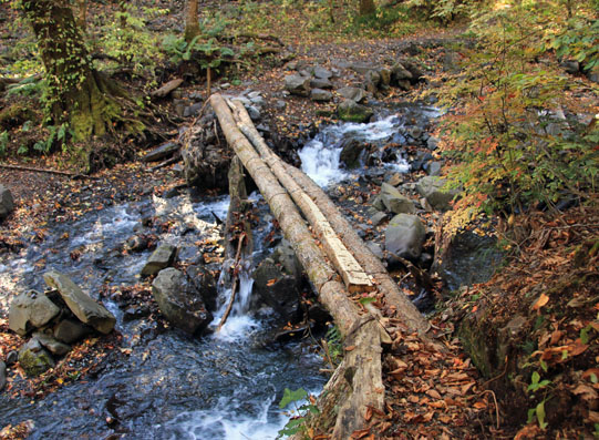 20141018tokugotoge-013.jpg