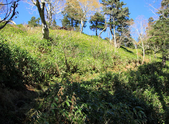 20141018tokugotoge-017.jpg