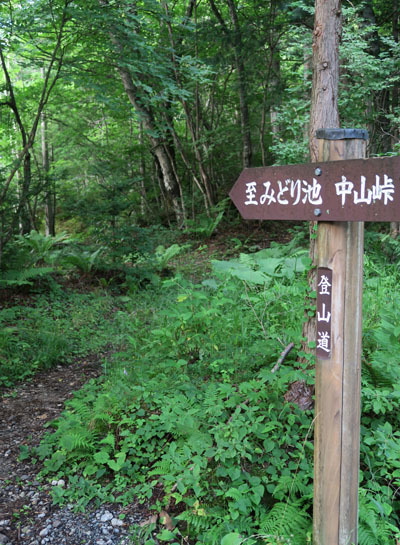 20150808midoriike-002.jpg