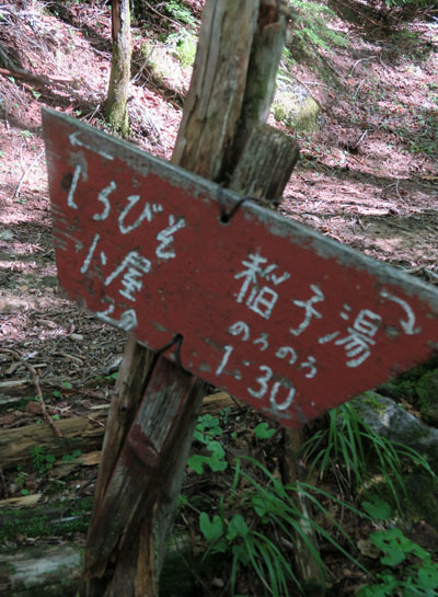 20150808midoriike-005.jpg