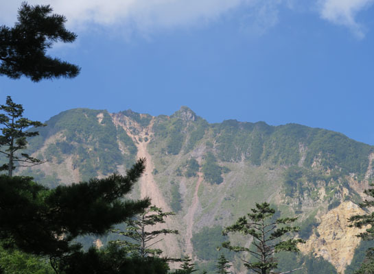 20150808midoriike-010.jpg