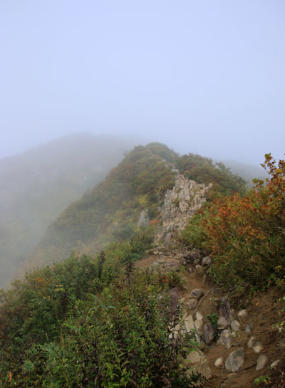 20150920amakazari-006.jpg