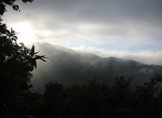 20150920amakazari-007.jpg