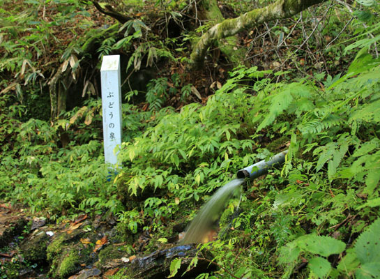 20151006kisokoma-004.jpg