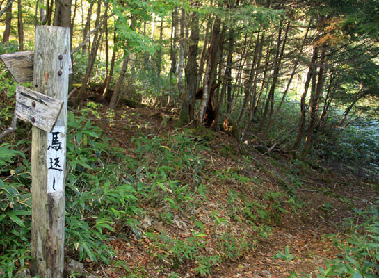 20151006kisokoma-006.jpg