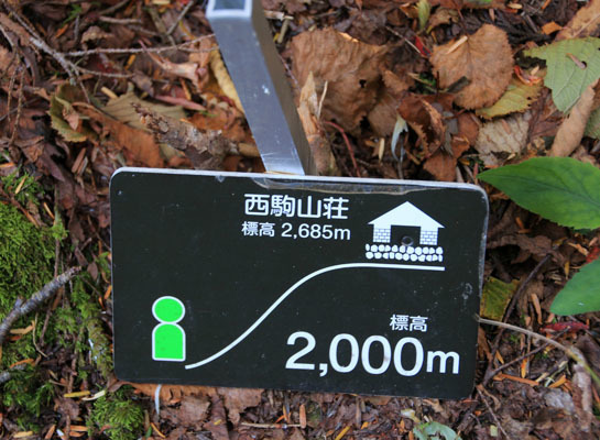 20151006kisokoma-007.jpg