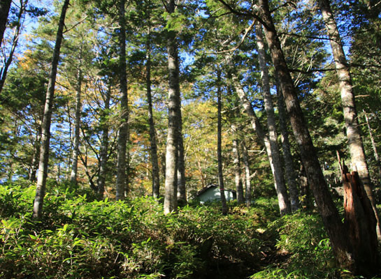 20151006kisokoma-008.jpg