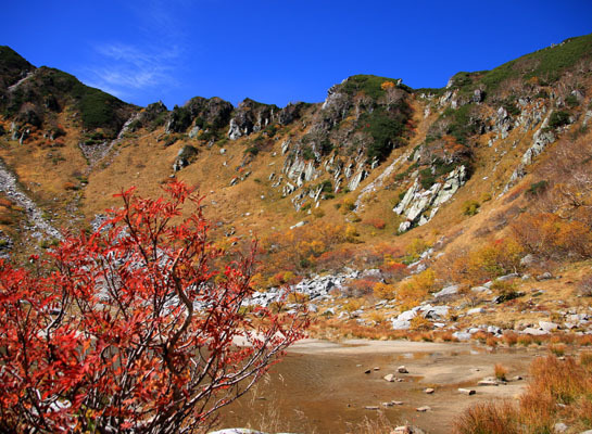 20151006kisokoma-016.jpg