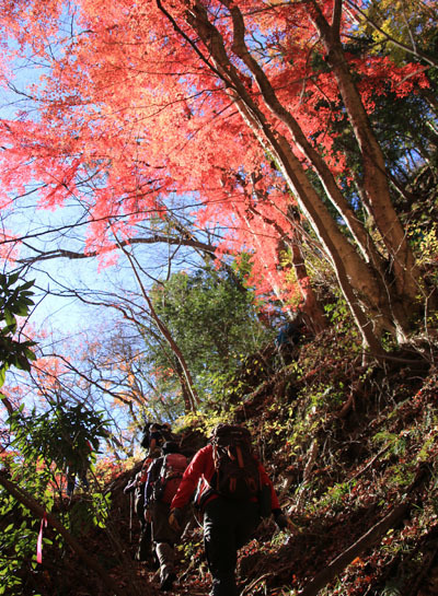 20151205nantaisan-008.jpg