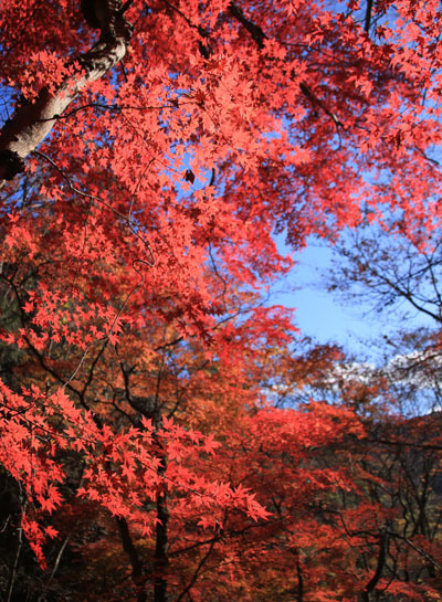 20151205nantaisan-009.jpg